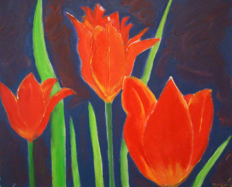 tulpen